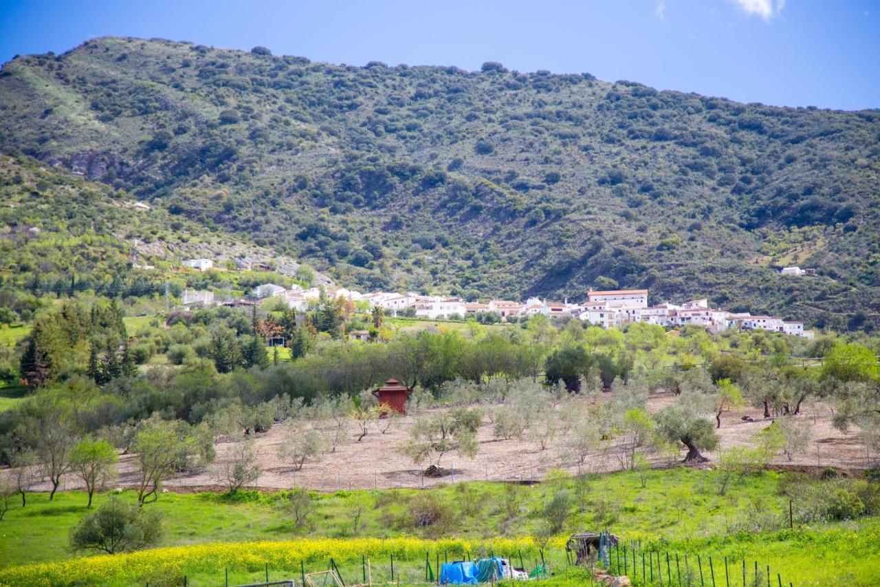 Hotel Rural Inz-Almaraz Jimera de Líbar Kültér fotó